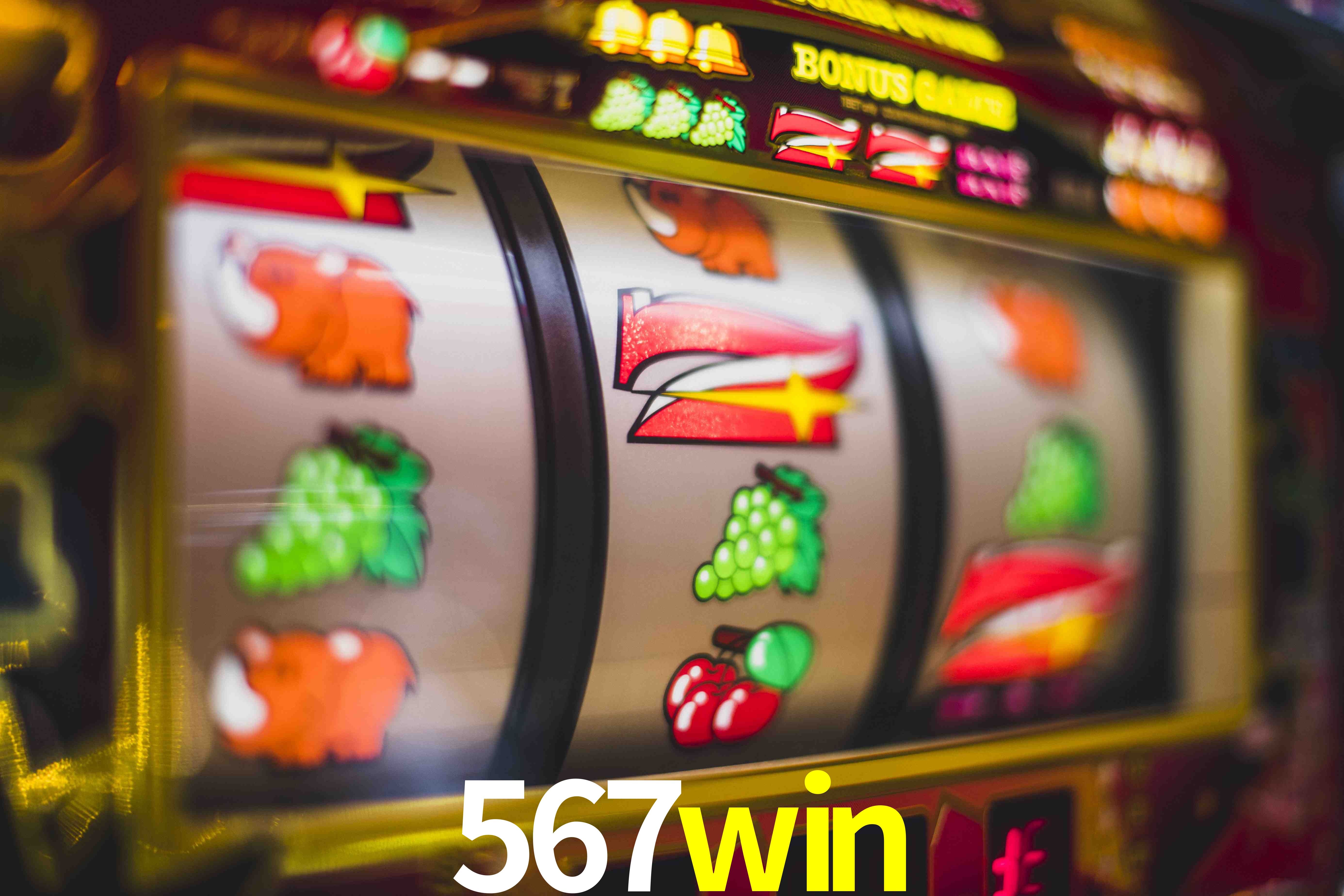 Experiência VIP 567win